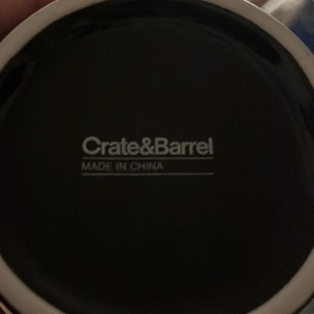 Crate&Barrel polka dot spider Halloween mug